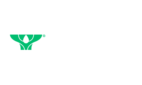 Орион Медик